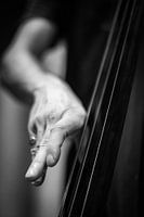 Kontrabassist