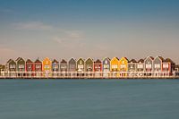 Tropisch Nederland