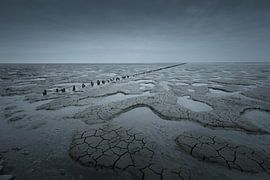 Blue tranquillity on the mudflats near Ternaard