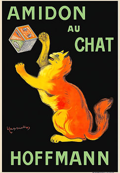 Reclametruc met een kat