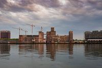 beautiful Rotterdam, the Cape