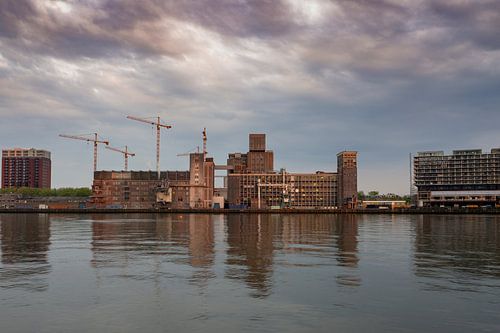 Rotterdam, Katendrecht