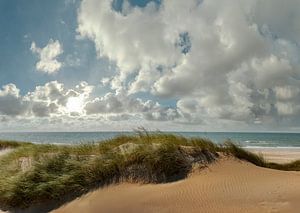 Paysage de dunes, Egmond aan Zee, Hollande du Nord sur Rene van der Meer