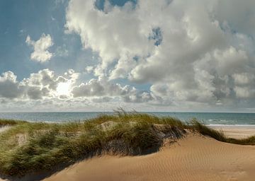 Dune landscape, Egmond aan Zee, North Holland by Rene van der Meer