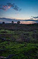 Schöner Sonnenuntergang auf der Heide