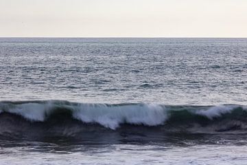 Surfen im Pazifischen Ozean in Costa Rica von whmpictures .com