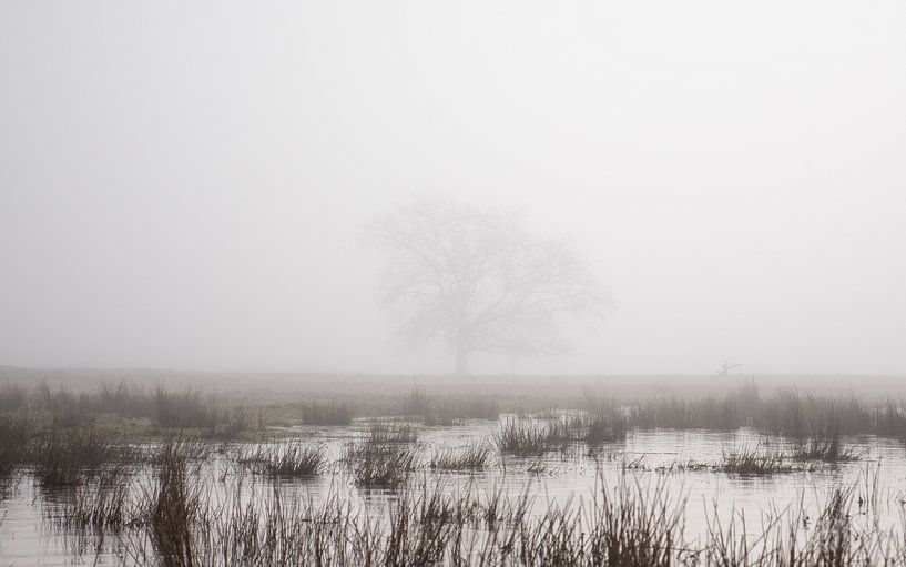 kleine Welt von snippefotografie