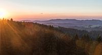 Golden hour in the Black Forest