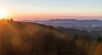 Golden hour in the Black Forest by Sander Strijdhorst