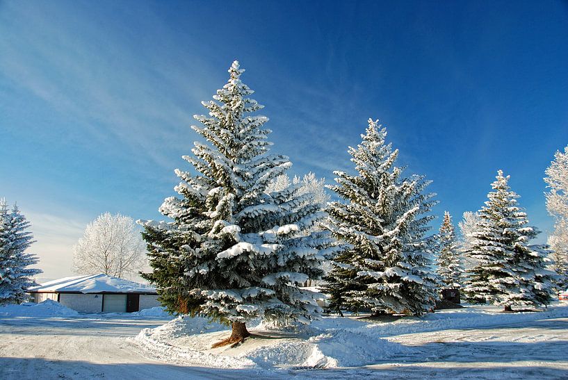 RIJP/FROST by Roelof Touw