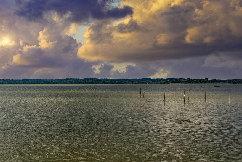 aan de Müritzsee in het Müritz Nationaal Park van Peter Eckert