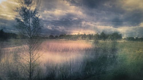 wouwerbeek 2 Bavel