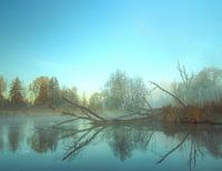 Das blaue Wunder
