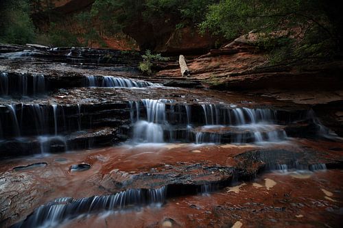 Archangel Falls op weg naar de Subway Canyon in Zion National Park