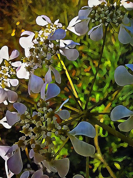 Cow Parsley In The Shade by Dorothy Berry-Lound