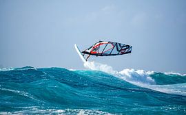 windsurf van arnaud plas