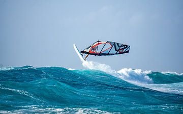 windsurf van arnaud plas