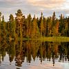 Réflexion de conifères dans un lac en Suède sur Jan Fritz