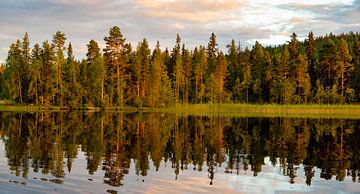 reflectie van naaldbomen in meer in Zweden van Jan Fritz