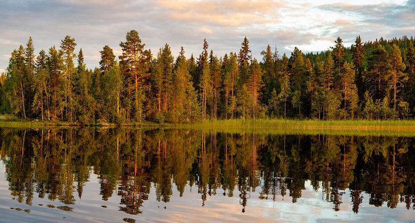 Réflexion de conifères dans un lac en Suède par Jan Fritz