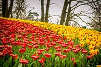 Bloemenbed
