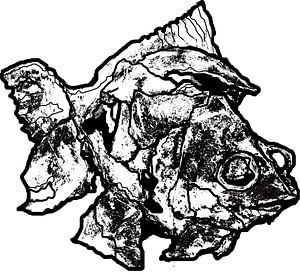 Prehistorische vis