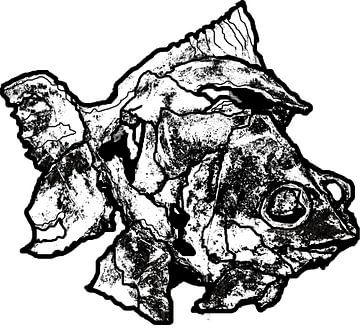 Prehistorische vis van Ruud van Koningsbrugge