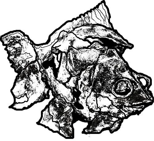 Prehistorische vis