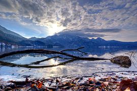 Baumspiegelung Kochelsee von Roith Fotografie