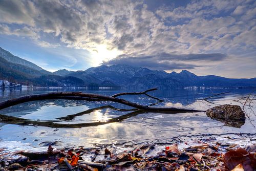 Boomspiegeling Walchensee