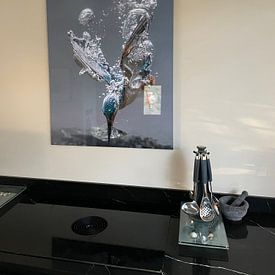 Klantfoto: Vissende ijsvogel van Tariq La Brijn, op hd metal