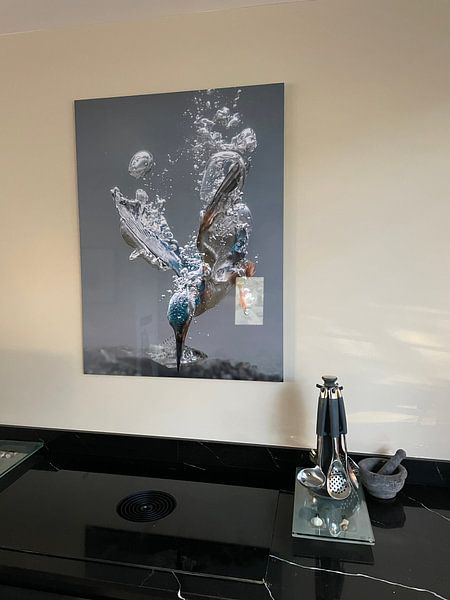 Kundenfoto: Eisvogel von Tariq La Brijn