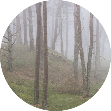 Bomen op een heuveltje tijdens een mistige ochtend van Peter Haastrecht, van
