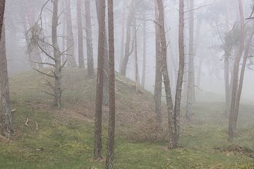 Bäume auf einer Anhöhe an einem nebligen Morgen von Peter Haastrecht, van