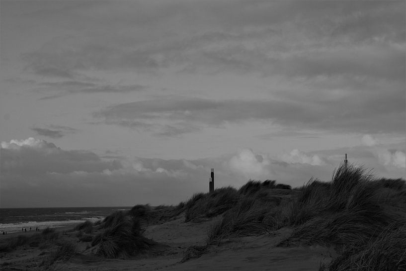 Die Dünen der Maasvlakte von Sanne van der Plaat