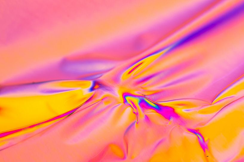 Cellophane par Arthur Hooijer