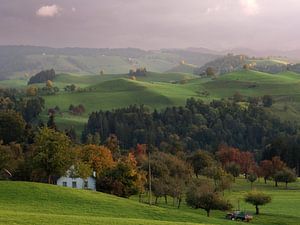 The Shire, Suisse sur Vincent Croce