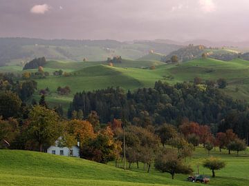 The Shire, Zwitserland van Vincent Croce