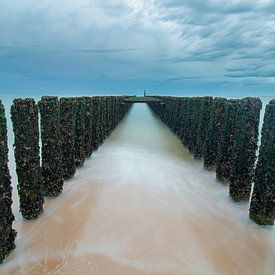 Blue coast van Tom Hengst