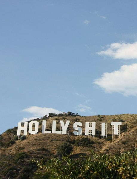 Hollyshit von Bekir CEYLAN