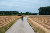 Bike ride through the fields by Werner Lerooy thumbnail