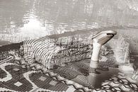 Nessie van True Color Stories thumbnail