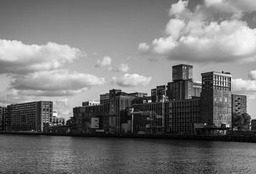 De Rijnhaven met uitzicht op Katendrecht van Zaankanteropavontuur