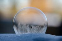 Frozen bubble V