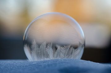 Winter - Bevroren zeepbel V van Gerben van den Hazel