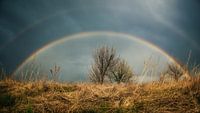 vang de regenboog