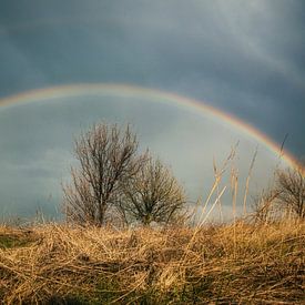 vang de regenboog van Vladyslav Durniev
