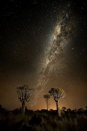 Starry night by Jos van Bommel