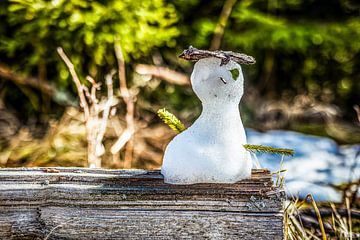 Sneeuwpop in de lente van Marcel Hechler