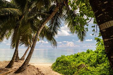 Strand anse royale op het Seychellen eiland Mahé van Reiner Conrad